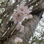 ヒメ日記 2026/04/12 12:55 投稿 ほたる 逢って30秒で即尺