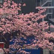 ヒメ日記 2026/04/14 15:52 投稿 ほたる 逢って30秒で即尺