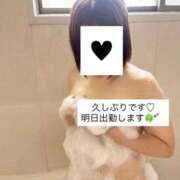 ヒメ日記 2026/04/14 12:37 投稿 新人もえな ミスミセス