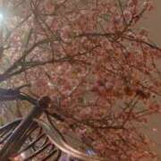 ヒメ日記 2026/03/23 00:56 投稿 ひなた 藤沢人妻城