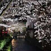 ヒメ日記 2026/04/04 01:01 投稿 ひなた 藤沢人妻城