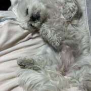 ヒメ日記 2026/04/27 14:01 投稿 ひなた 藤沢人妻城