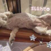 ヒメ日記 2026/07/14 15:11 投稿 ひなた 藤沢人妻城