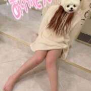 ヒメ日記 2026/03/20 05:41 投稿 きらら 池袋サンキュー