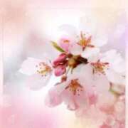 ヒメ日記 2026/03/14 12:09 投稿 しおり 完熟ばなな札幌・すすきの