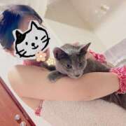 ヒメ日記 2026/03/31 20:58 投稿 しおり ハピネス＆ドリーム 松山道後温泉