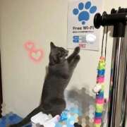 ヒメ日記 2026/04/07 22:18 投稿 しおり ハピネス＆ドリーム 松山道後温泉