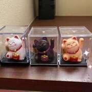 ヒメ日記 2026/04/08 14:18 投稿 しおり ハピネス＆ドリーム 松山道後温泉