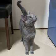 ヒメ日記 2026/04/08 18:18 投稿 しおり ハピネス＆ドリーム 松山道後温泉