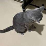 ヒメ日記 2026/04/09 08:38 投稿 しおり ハピネス＆ドリーム 松山道後温泉