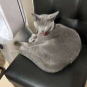 ヒメ日記 2026/04/10 02:28 投稿 しおり ハピネス＆ドリーム 松山道後温泉