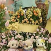 ヒメ日記 2026/04/17 09:03 投稿 かな 恋色 (コイイロ)