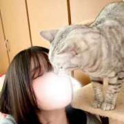 ゆるか ねこらぶ♡♡ ハピネス福岡