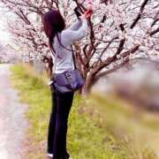 ヒメ日記 2026/04/08 21:12 投稿 ゆるか ハピネス福岡