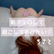 ヒメ日記 2026/03/14 08:00 投稿 ちさと 奥鉄オクテツ奈良