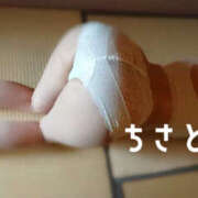 ヒメ日記 2026/03/15 01:00 投稿 ちさと 奥鉄オクテツ奈良