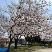 ヒメ日記 2026/04/02 10:20 投稿 ふゆき 即トク奥さん