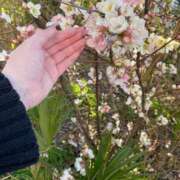 真白（ましろ） 🈵ご予約完売🈵ありがとう♡ 丸妻 錦糸町店