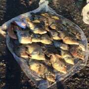 とも こんばんは VIVIDCREWマダムセカンドバージン 梅田店