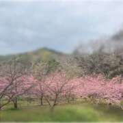 ヒメ日記 2026/03/17 17:20 投稿 はる 俺が小倉のM太郎