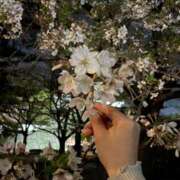 ヒメ日記 2026/04/11 18:20 投稿 はる 俺が小倉のM太郎