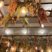 ヒメ日記 2026/04/14 21:10 投稿 はる 俺が小倉のM太郎