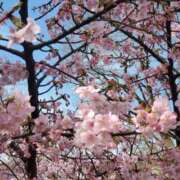 ヒメ日記 2026/03/25 09:11 投稿 ののか 池袋おかあさん