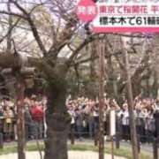 ヒメ日記 2026/03/20 09:32 投稿 はる 熟女の風俗最終章 錦糸町店