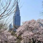 ヒメ日記 2026/03/29 09:45 投稿 はる 熟女の風俗最終章 錦糸町店