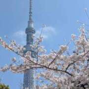 ヒメ日記 2026/03/29 19:35 投稿 はる 熟女の風俗最終章 錦糸町店