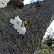 ヒメ日記 2026/03/28 19:31 投稿 朝香（あさか） 松戸デリヘル　熟女ヘブン