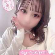 ヒメ日記 2026/03/13 15:43 投稿 ひまわり コーチと私と、ビート板･･･