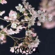 ヒメ日記 2026/03/14 03:47 投稿 きよか 人妻熟女の秘密の関係伊勢崎店