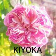 ヒメ日記 2026/03/14 20:57 投稿 きよか 人妻熟女の秘密の関係伊勢崎店