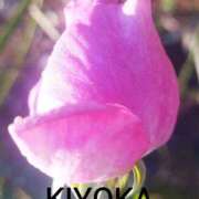 ヒメ日記 2026/03/15 21:07 投稿 きよか 人妻熟女の秘密の関係伊勢崎店