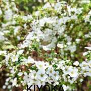 ヒメ日記 2026/03/19 02:27 投稿 きよか 人妻熟女の秘密の関係伊勢崎店