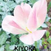 ヒメ日記 2026/03/27 23:57 投稿 きよか 人妻熟女の秘密の関係伊勢崎店