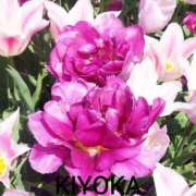 ヒメ日記 2026/03/30 22:37 投稿 きよか 人妻熟女の秘密の関係伊勢崎店