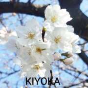 ヒメ日記 2026/03/31 03:47 投稿 きよか 人妻熟女の秘密の関係伊勢崎店