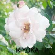 ヒメ日記 2026/03/31 16:47 投稿 きよか 人妻熟女の秘密の関係伊勢崎店