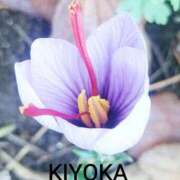 ヒメ日記 2026/03/31 21:00 投稿 きよか 人妻熟女の秘密の関係伊勢崎店