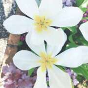 ヒメ日記 2026/04/10 19:45 投稿 きよか 人妻熟女の秘密の関係伊勢崎店