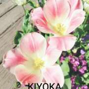 ヒメ日記 2026/04/11 20:05 投稿 きよか 人妻熟女の秘密の関係伊勢崎店