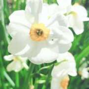 ヒメ日記 2026/04/12 04:07 投稿 きよか 人妻熟女の秘密の関係伊勢崎店