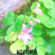 ヒメ日記 2026/04/13 13:17 投稿 きよか 人妻熟女の秘密の関係伊勢崎店