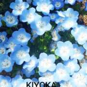 ヒメ日記 2026/04/15 02:47 投稿 きよか 人妻熟女の秘密の関係伊勢崎店