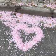 ヒメ日記 2026/04/22 10:33 投稿 るい New Sky