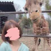 いろは 癒やされてください 奥鉄オクテツ東京店（デリヘル市場）