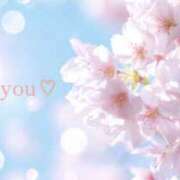 ヒメ日記 2026/04/27 15:13 投稿 いろは 奥鉄オクテツ東京店（デリヘル市場）