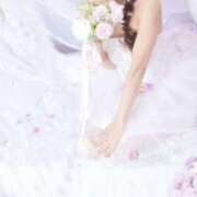 ヒメ日記 2026/03/24 21:50 投稿 春名 葵 川崎三浦屋